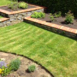 Gazon de Jardin : découvrez les différentes variétés de gazon pour choisir celle qui convient le mieux à votre jardin Limoges